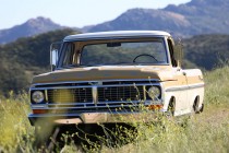 ICON_Ford_Reformer_Nose_through_Flowers_Mountains_ALT_IMG_1683_thumb.jpg