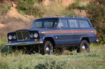 Web_65_Wagoneer_ICON_F34_Flower_Field_thumb.jpg